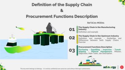 Definition of the Supply Chain & Procurement functions description
