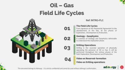 Field Life Cycles: Introduction to O&G Projects and Operations.