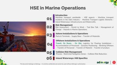 H2SE in Marine Operations