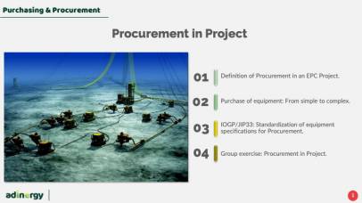 Procurement in Project