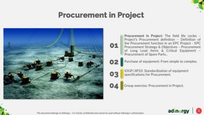 Procurement in Project