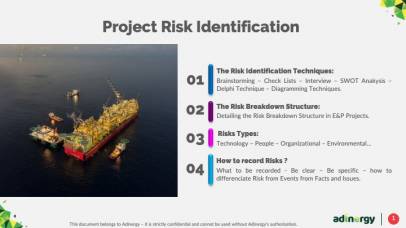 Project Risk Identification