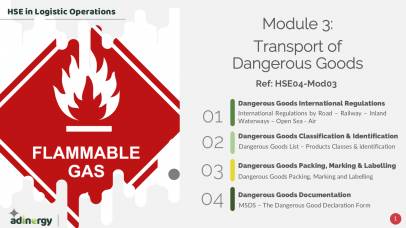 Transport of Dangerous Goods