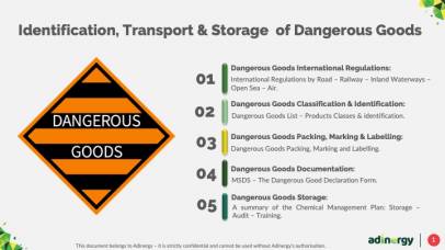 Transport of Dangerous Goods